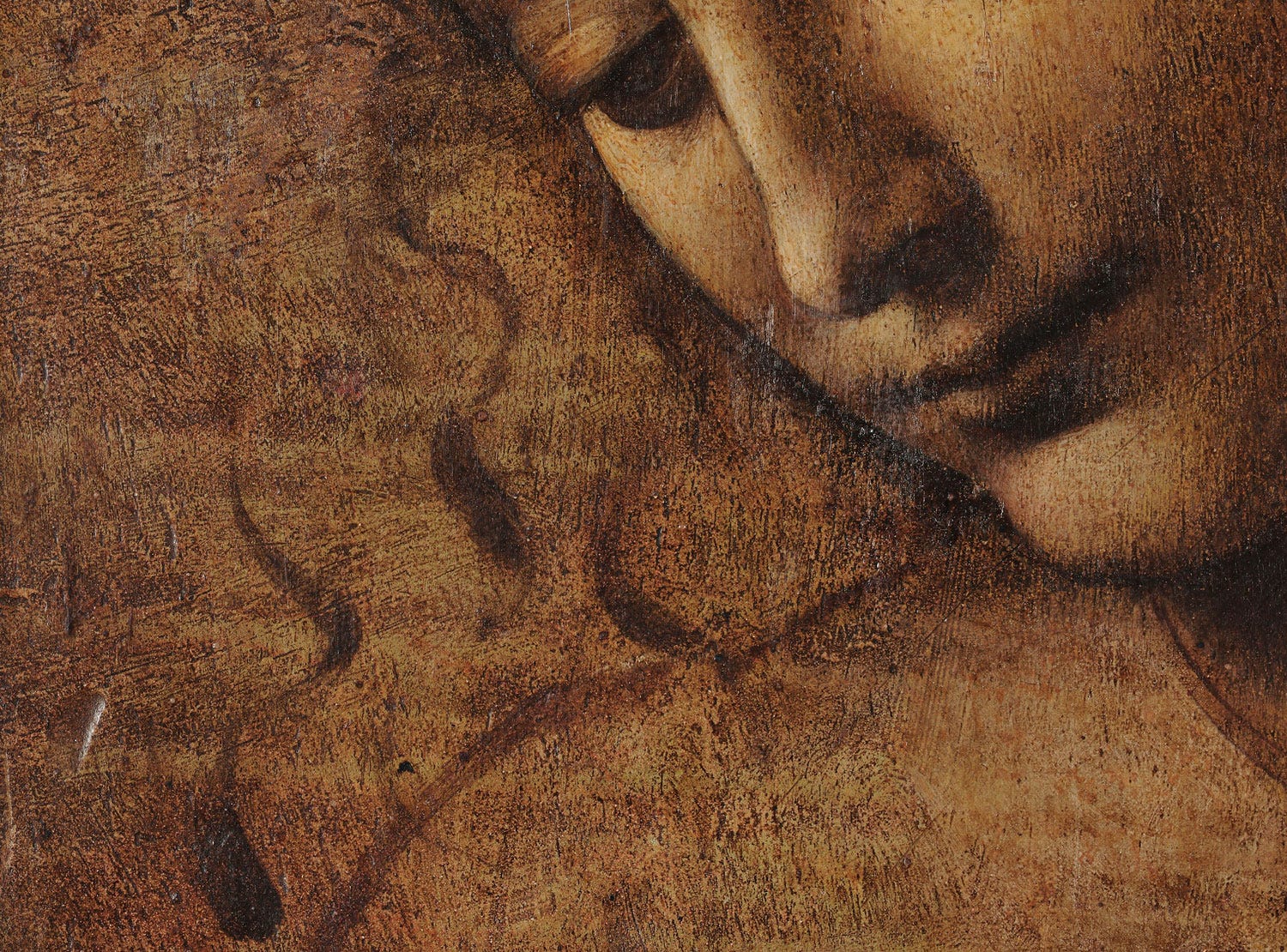 leonardo-da-vinci-s-scapigliata-moments-of-wonder