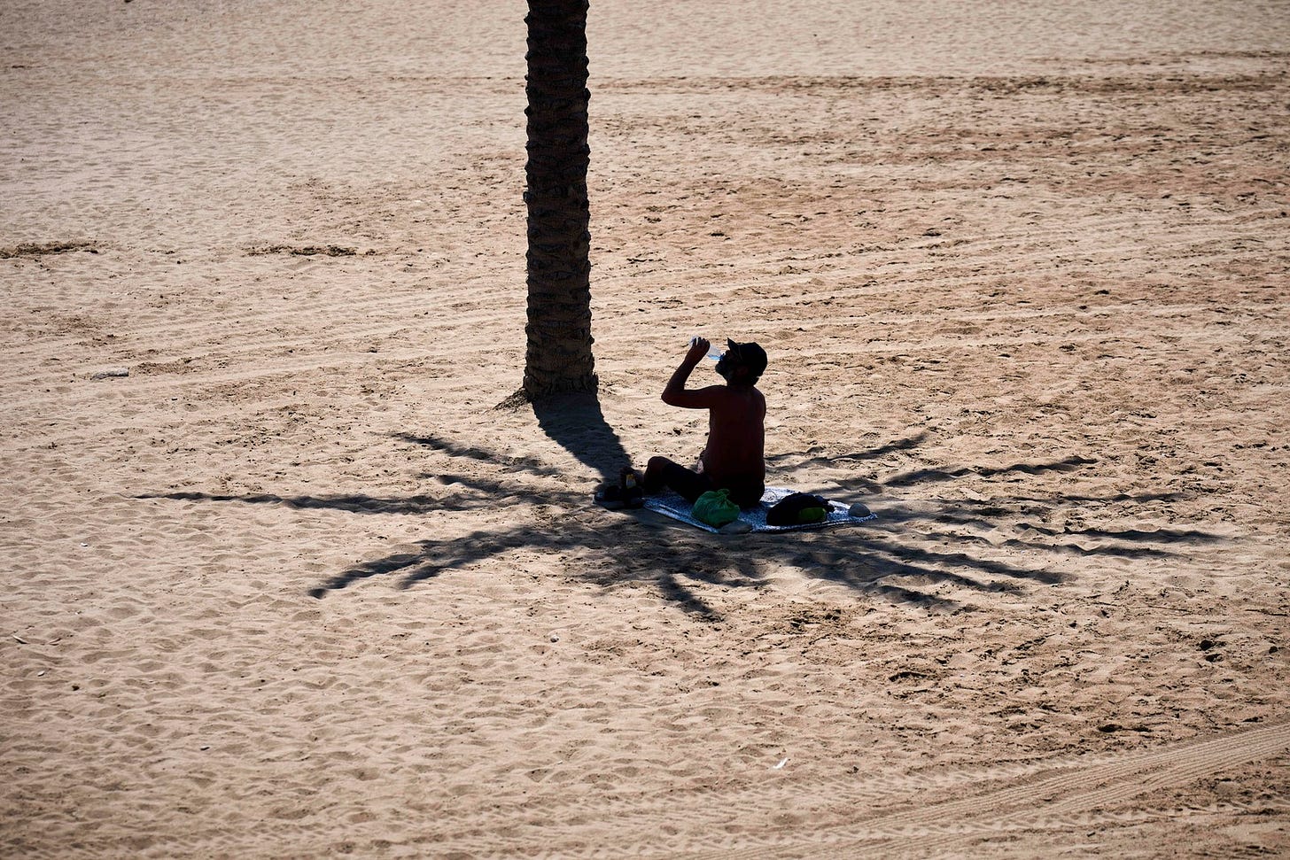 A man takes advantage of the shade of a palm tree on a hot day at the beach. A man takes advantage of the shade of a palm tree on a hot day at the beach.