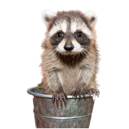 The conversation has been moved to the Trash