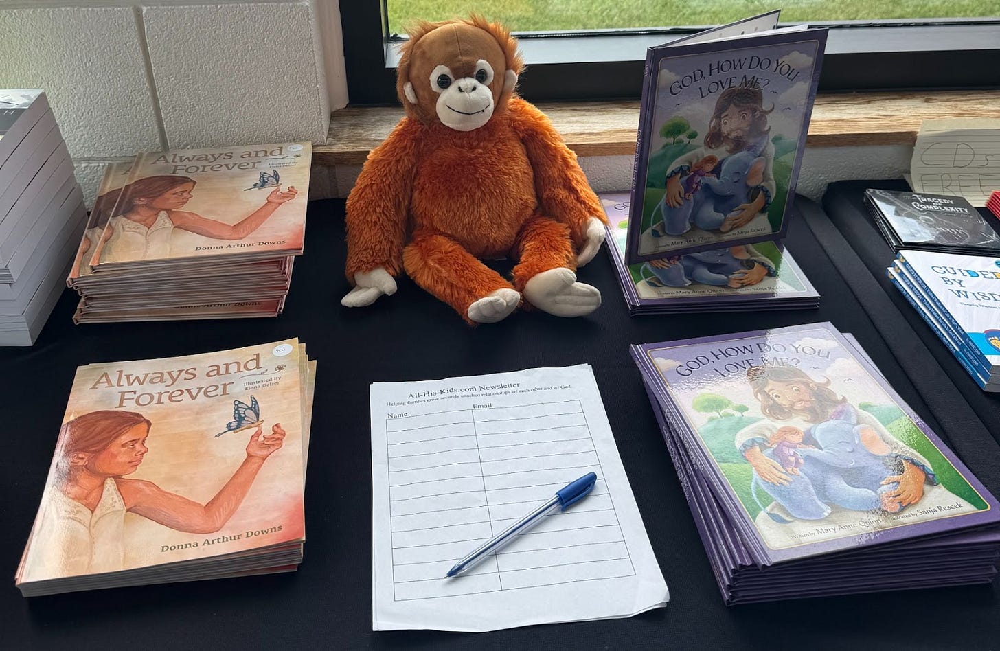 Mary Anne Quinn book display