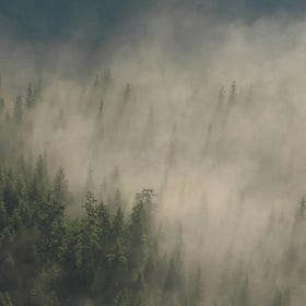 Roadless Rule Recision Buys Off Murkowski With Taxpayer-Funded Lumber Giveaway To China