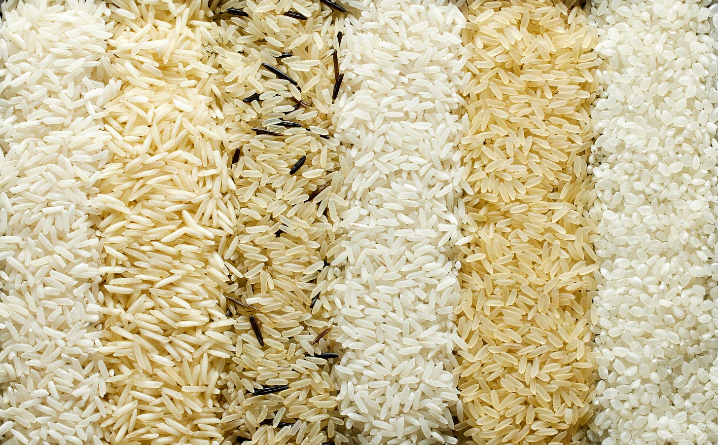 Different varieties of rice.