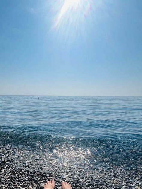 Top L-R: devouring an octopus panino, the original Ligurian focaccia, Marinda black pomodori, fresh caught sardines, Mar Ligure, fried anchovies with lemon heaven, colored-tile alimentari, fishing nets and boats on the public beach, duck face toast with my love
