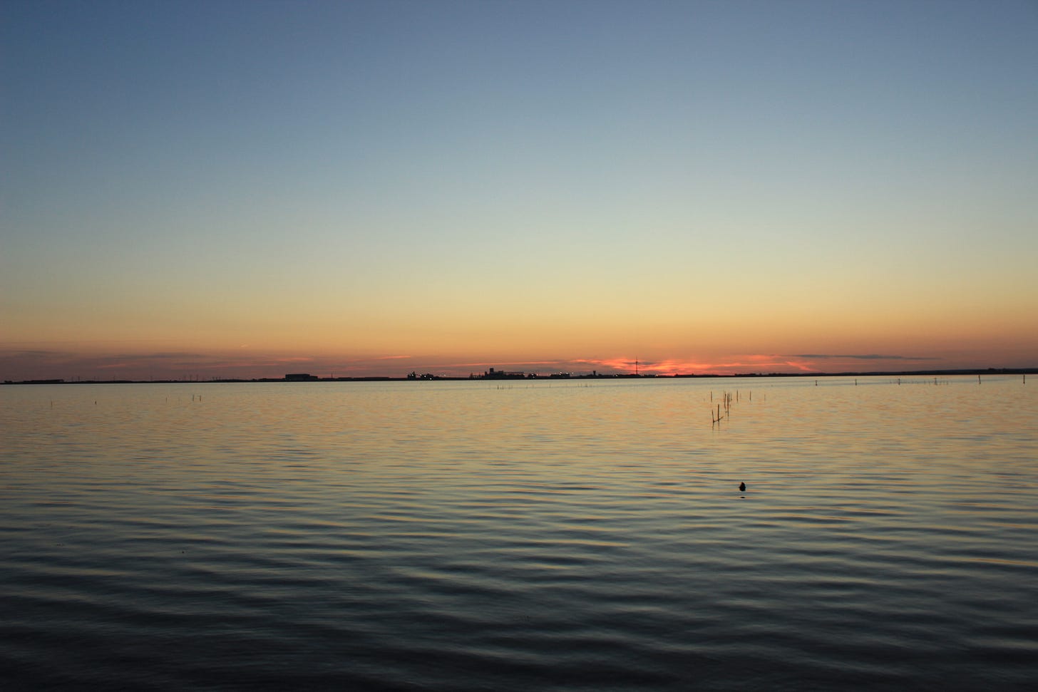Placida distesa d’acqua dello stagno di Santa Giusta al tramonto: l’acqua è azzurro-grigia, si vedono un recinto di canne e la sagoma di un uccello che nuota a pelo d’acqua. All’orizzonte si alzano i profili di alcuni edifici, mentre il cielo dietro di loro sta diventando rosso. Placida distesa d’acqua dello stagno di Santa Giusta al tramonto: l’acqua è azzurro-grigia, si vedono un recinto di canne e la sagoma di un uccello che nuota a pelo d’acqua. All’orizzonte si alzano i profili di alcuni edifici, mentre il cielo dietro di loro sta diventando rosso.