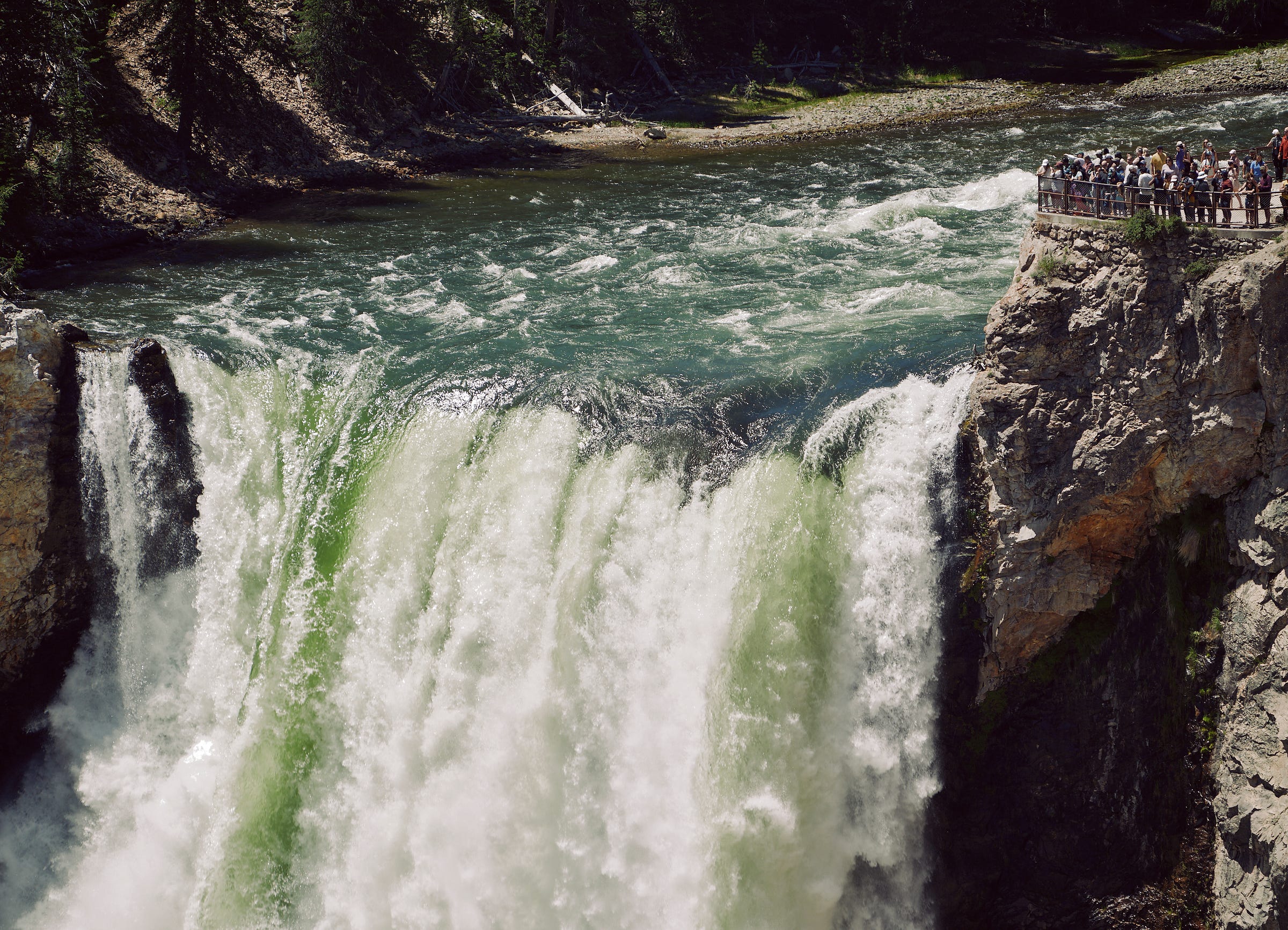A crowd of people observe Lower Falls in Yellowstone National Park