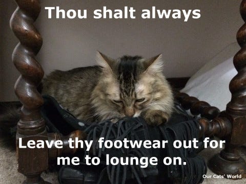 Chase Boots (lol) Chase Boots (lol)
