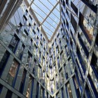 Five Things: Orban, Curiosity, Billionaire Ranches, Darwin, Brady Bunch