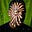 Tawanda's avatar