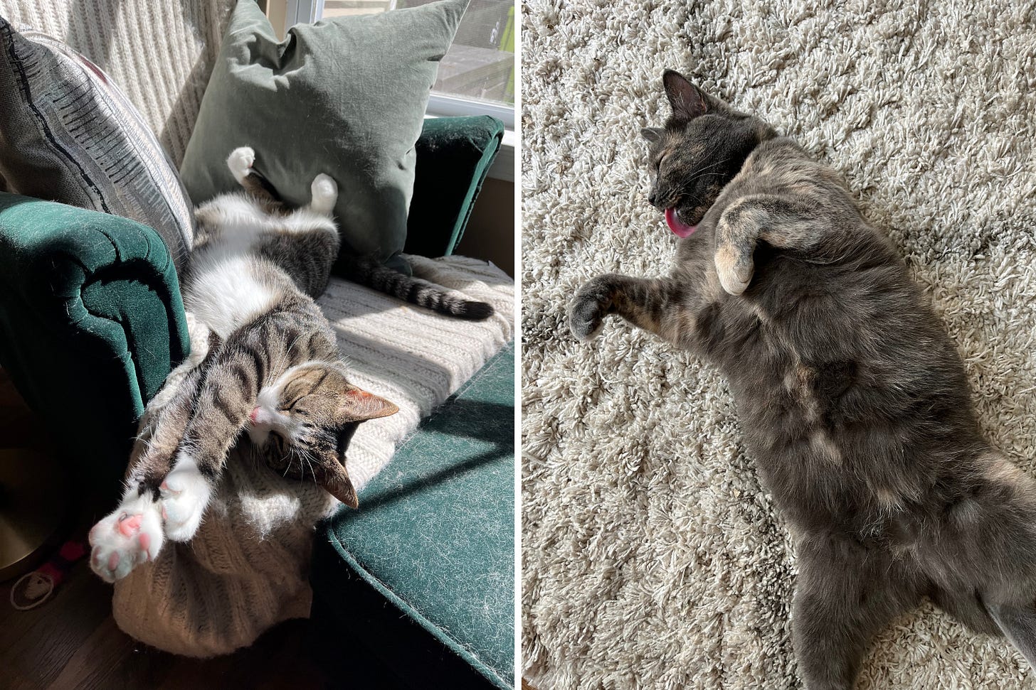 Image item Image item