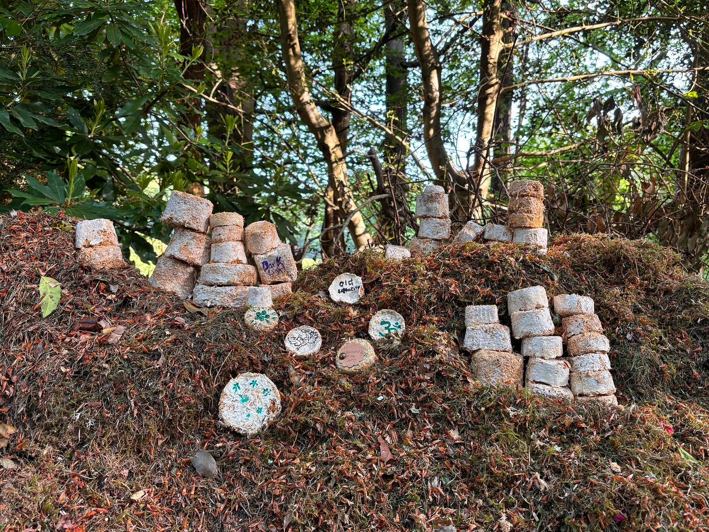 Mycelium blocks composting