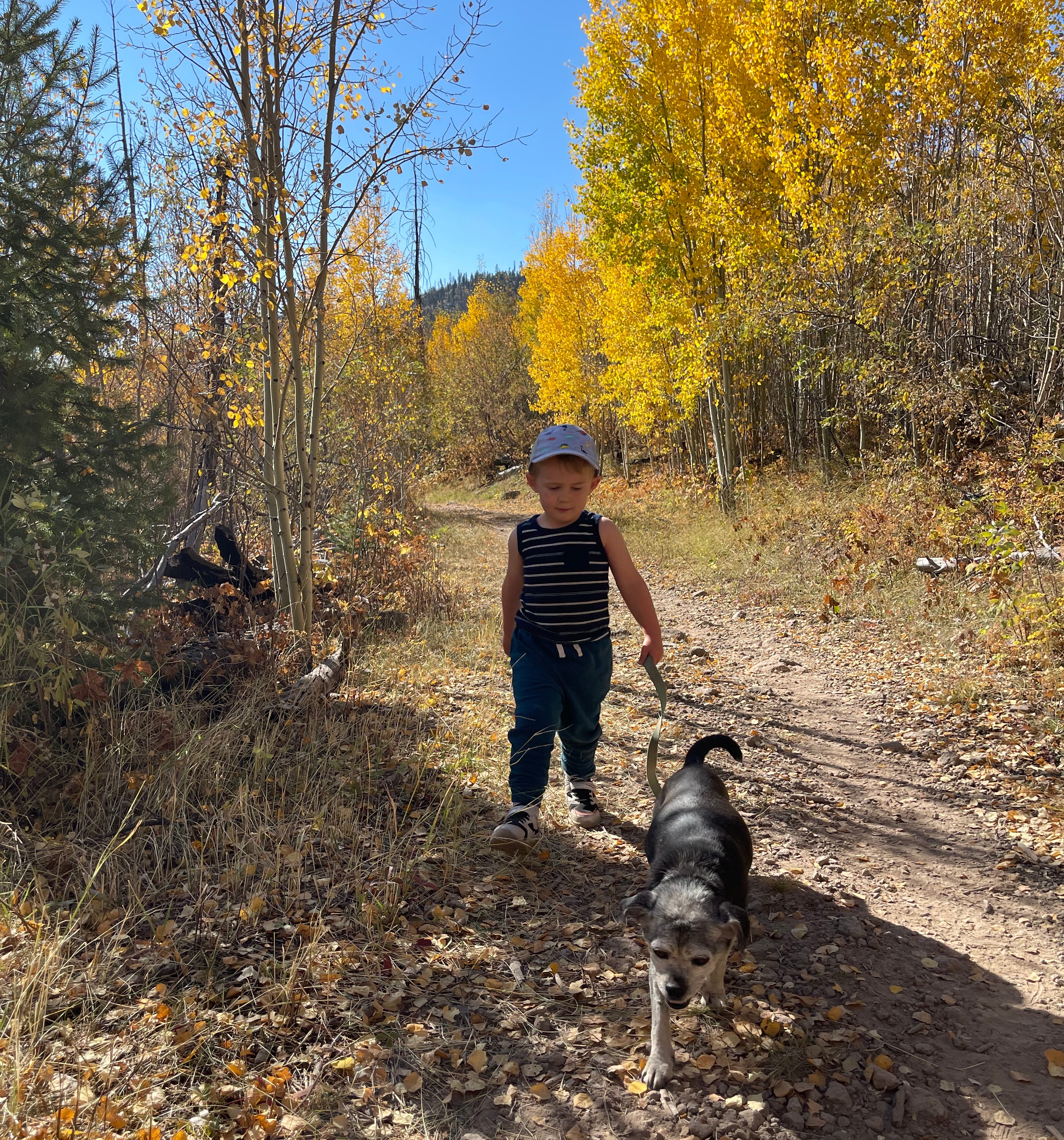 About That Mom Who Was Arrested Because Her Kid Went on a Walk