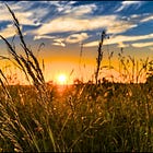 "Klara and the Sun": On Friendship and Being Seen