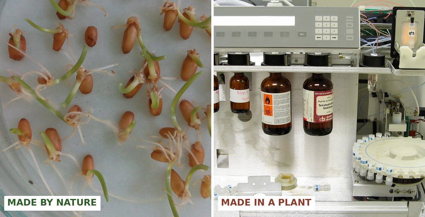 Left: wheat seeds sprouting in a dish. Right: an automated peptide synthesizer with reagent bottles.