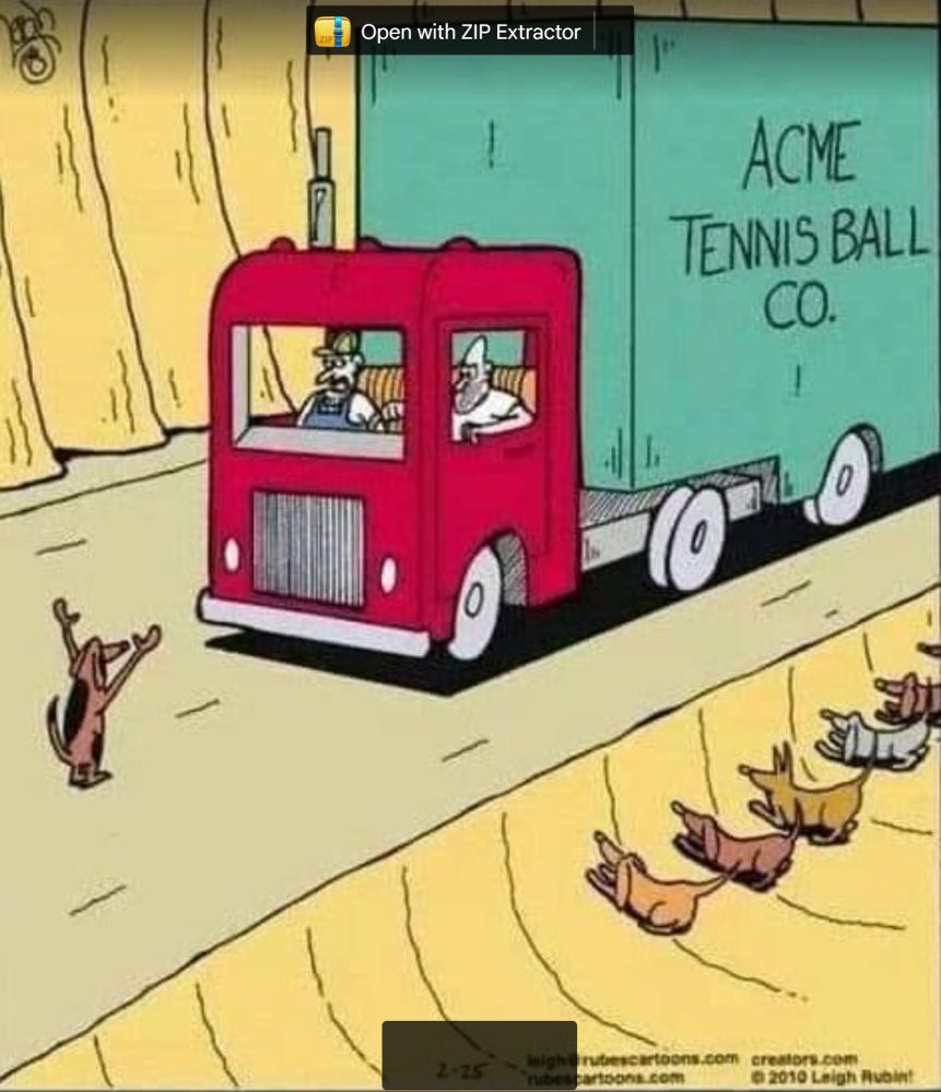 dog holding up truck that has "Acme Tennis Ball Co" on the side and a line of dogs on the side of the road ready to make a heist