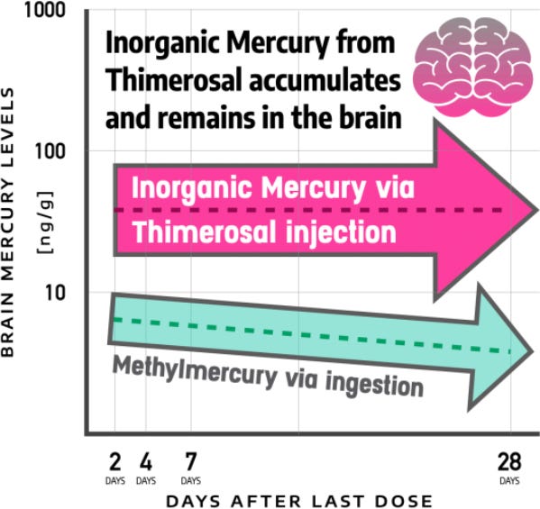 ACIP&rsquo;s Thimerosal Vote: Symbolic Futility or Ethical Rebirth? A Popular Rationalism Analysis