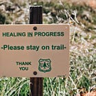 It Started With a Lump...