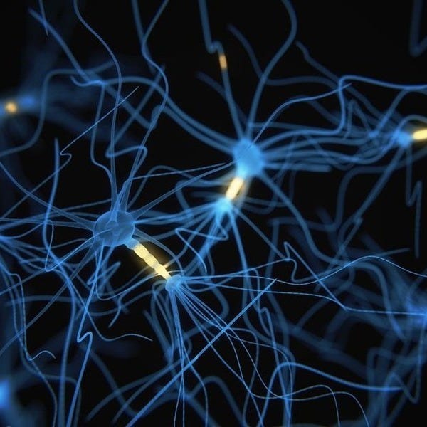 Superdotação Traduzida