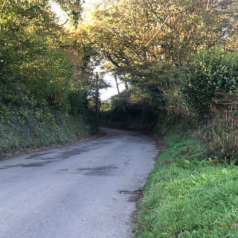 Caminos rurales de Pembrokeshire, con altas cercas verdes que, en algunos tramos, se cierran y convierten el camino en un túnel.