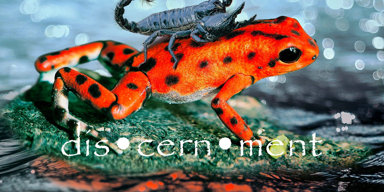 dis·cern·ment