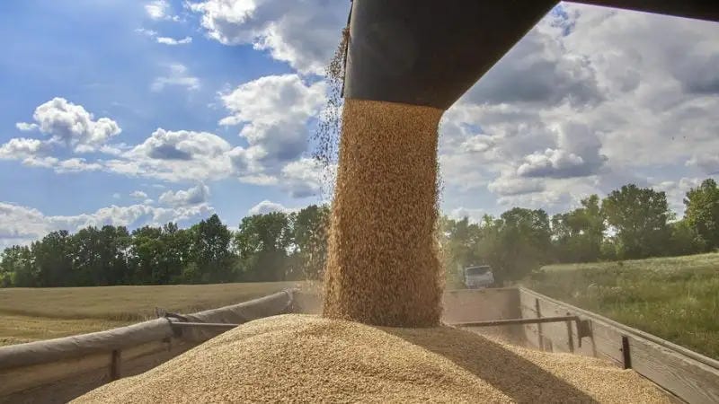 ukraine-grain-.jpg
