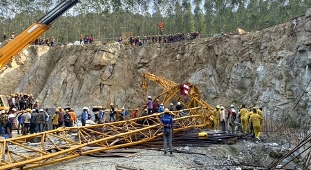 cranerayong01.jpg