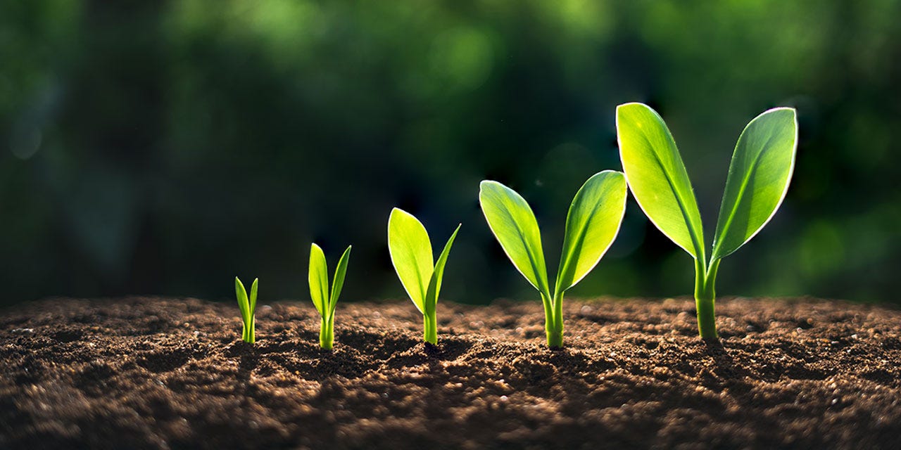 Economic Growth Is Still Our Best Hope | City Journal