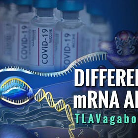 What is the Difference Between mRNA and modRNA? 