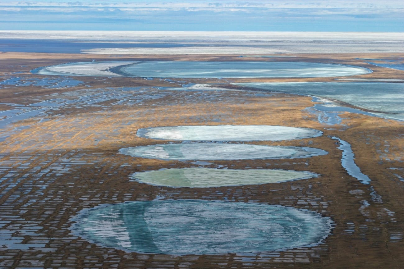 Four small lakes sit on the northwestern side of Teshekpuk Lake, a key wildlife habitat within the National Petroleum Reserve - Alaska that's also seen interest from oil companies. (Craig McCaa/U.S. Bureau of Land Management)