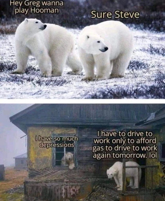 r/ClimateMemes - They'll bearly have a choice soon r/ClimateMemes - They'll bearly have a choice soon