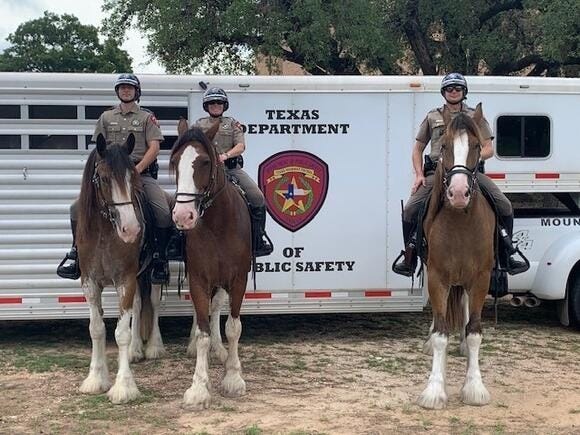 Texas DPS Capitol Complex Mounted Patrol Texas DPS Capitol Complex Mounted Patrol