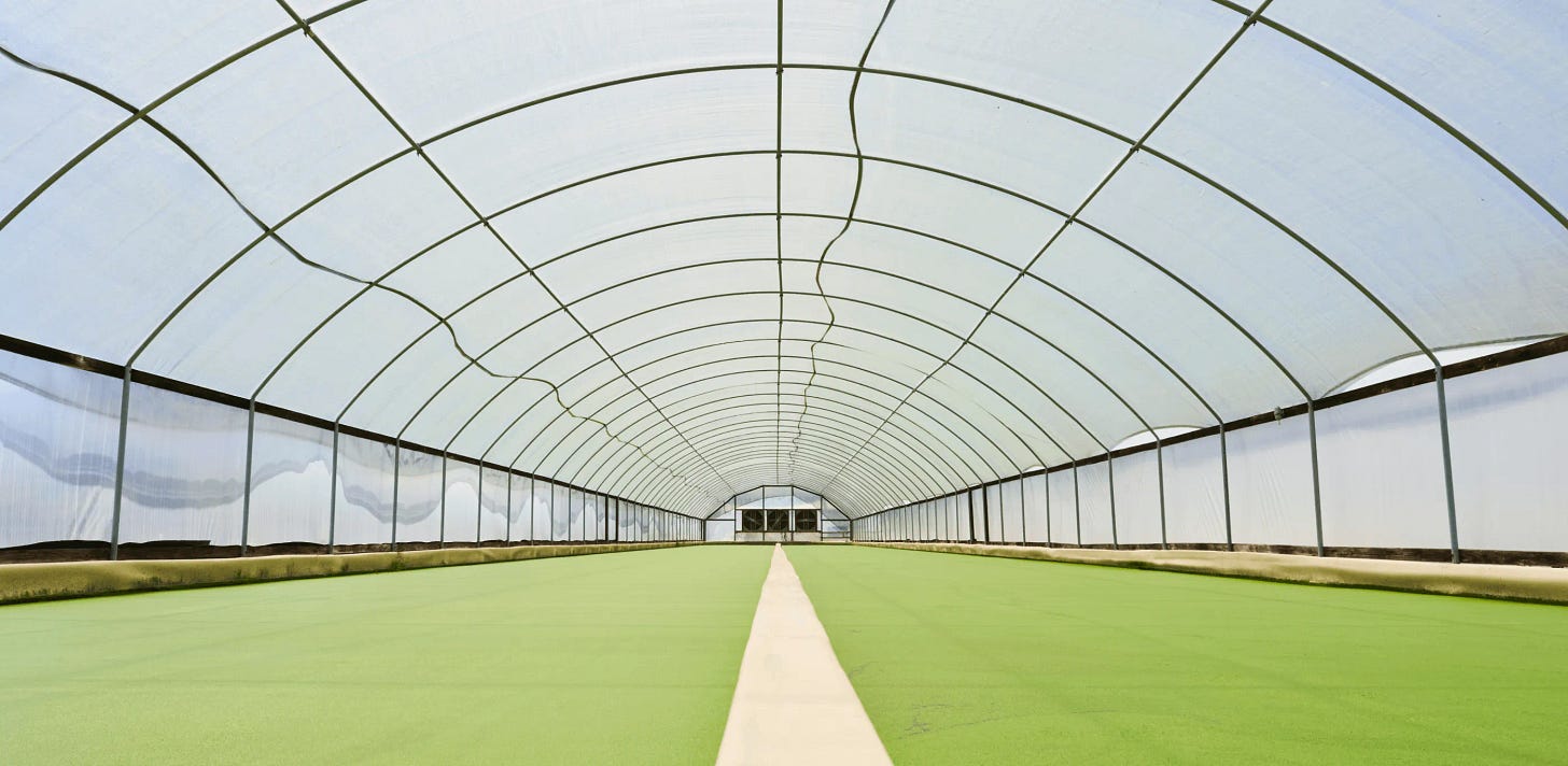 Plantible Foods - Better farms, better foods