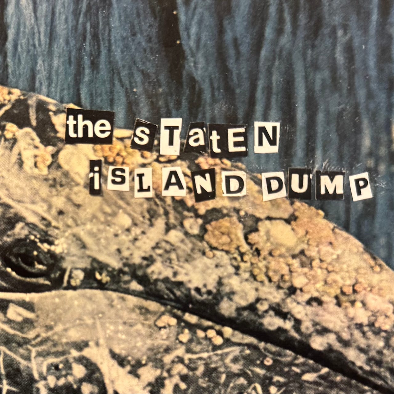 The Staten Island Dump