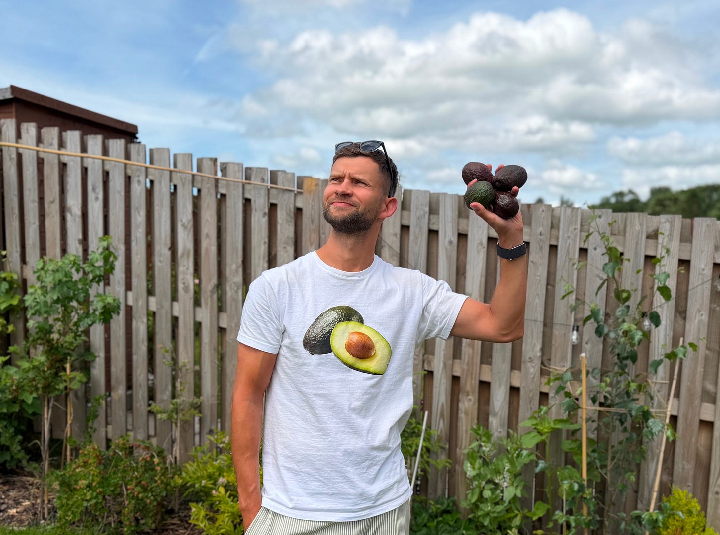 The author standing in a garden wearing an avocado T-shirt, holding several avocados in one hand and looking into the distance.