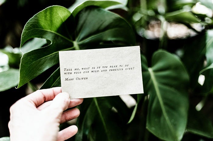 Tell me, what is it you plan to do with your one wild and precious life? Tell me, what is it you plan to do with your one wild and precious life?