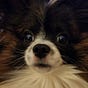 SarahB's avatar