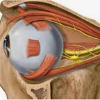 ABCs of multiple sclerosis 