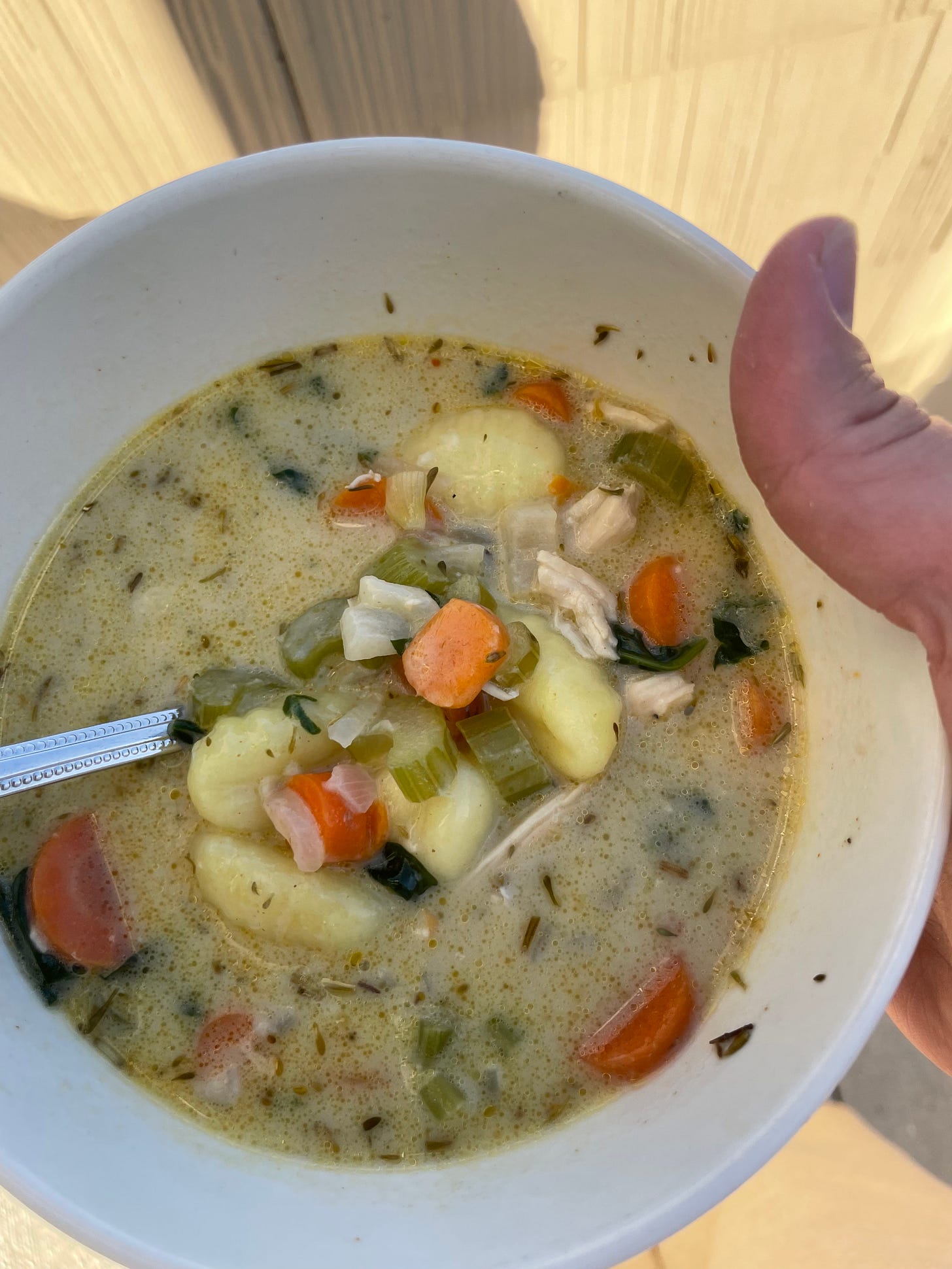 Chicken Gnocchi Soup