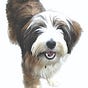 Corey's Canine Corner - 4 Dogs's avatar