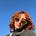 Natalia Pereira Rodríguez's avatar