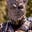 Neil Cheddie's avatar