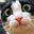 STUFFED ANIMAL's avatar