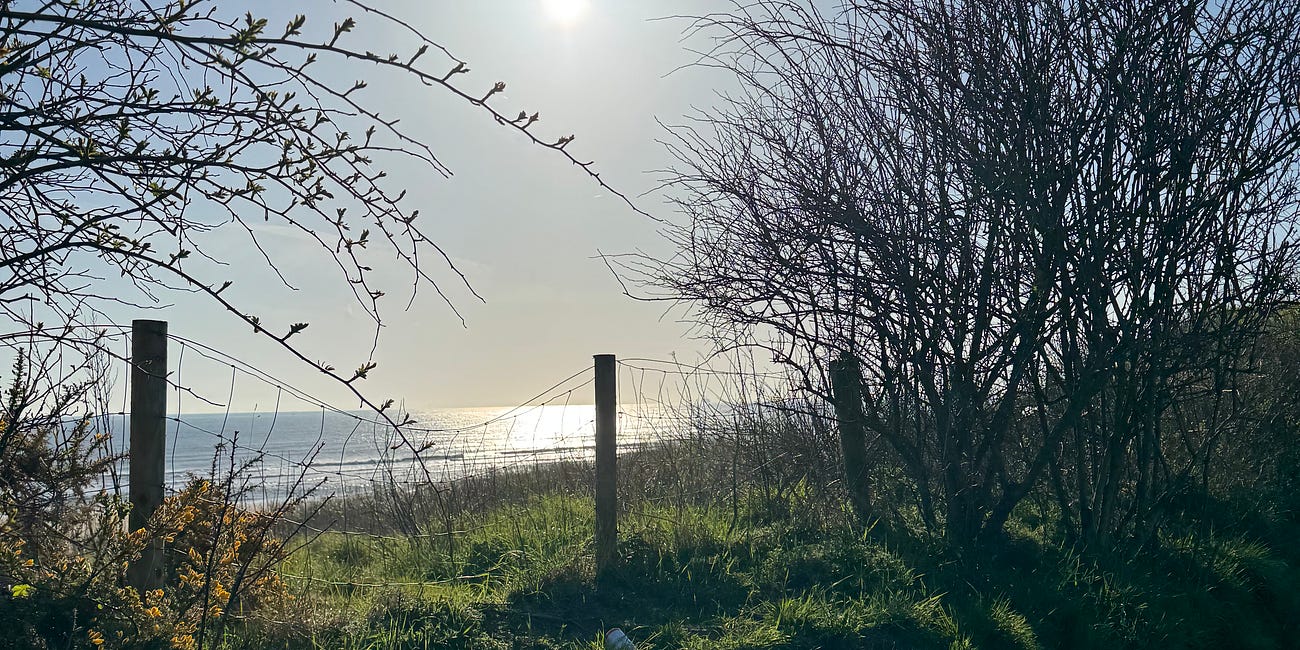 A Breath of Fresh Air