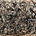 Theodor Selimovic's avatar