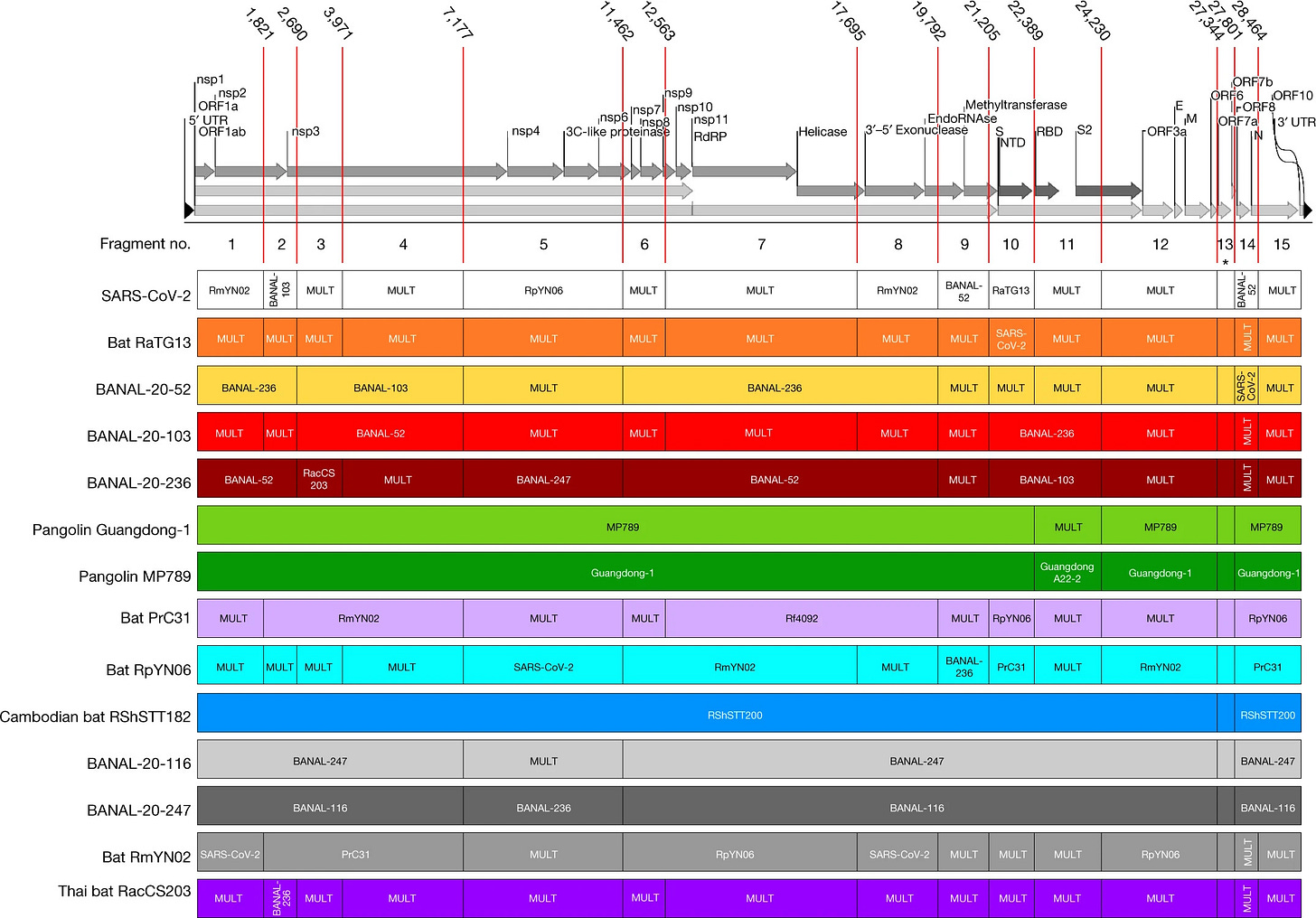 Comparison chart showing genetic fragments of SARS-CoV-2 and related viruses from bats and pangolins, with protein annotations and nucleotide differences—demonstrating that, much like Einstein, change the facts can transform our understanding of viral evolution.