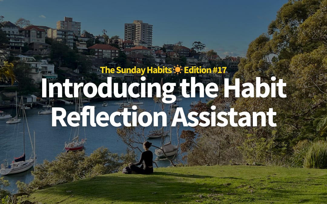 Introducing the Habit Reflection Assistant