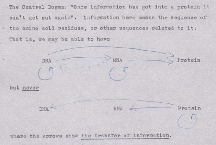 Crick's view on the Transfer of Genetic Information | by Salwa Sayeed |  Medium