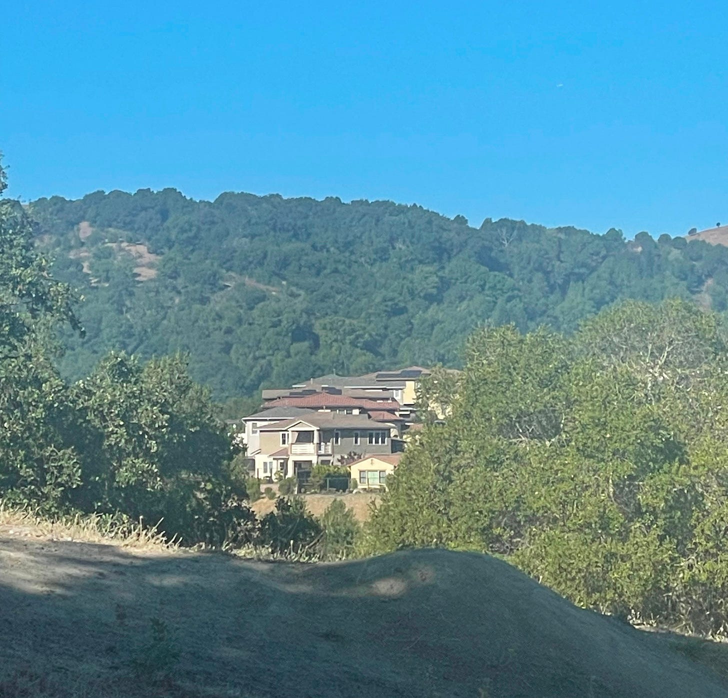 View from a walking trail in Moraga California with houses in the distance