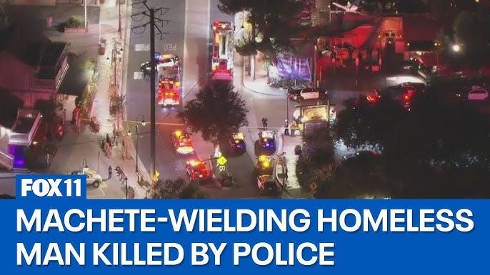 Machete-wielding homeless man shot dead by police