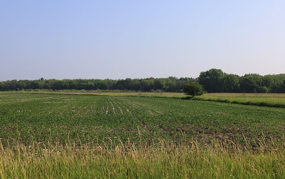 farm field grass farm field grass