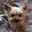 SHIRLEY JONES's avatar